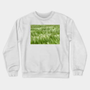 Barley being blown in the wind - Yorkshire, UK Crewneck Sweatshirt